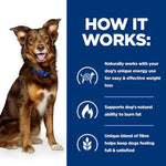 Load image into Gallery viewer, Hill&#39;s Metabolic canned dog food 
