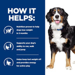 Load image into Gallery viewer, Dog with text on a blue background about dog nutrition benefits
