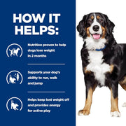 Dog with text on a blue background about dog nutrition benefits