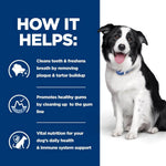 Load image into Gallery viewer, Dog with text on how dental care products help clean teeth, freshen breath, promote healthy gums, and support daily health.
