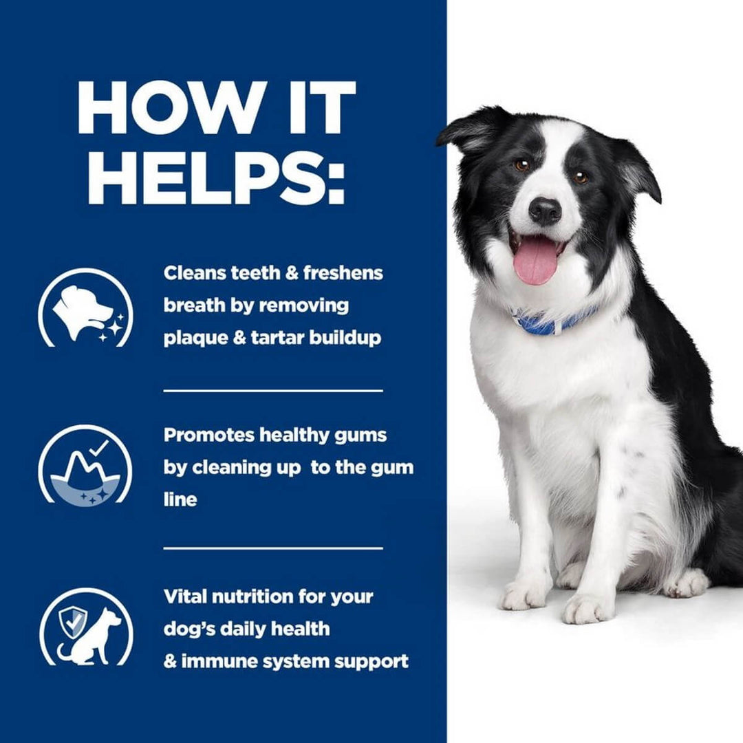 Dog with text on how dental care products help clean teeth, freshen breath, promote healthy gums, and support daily health.