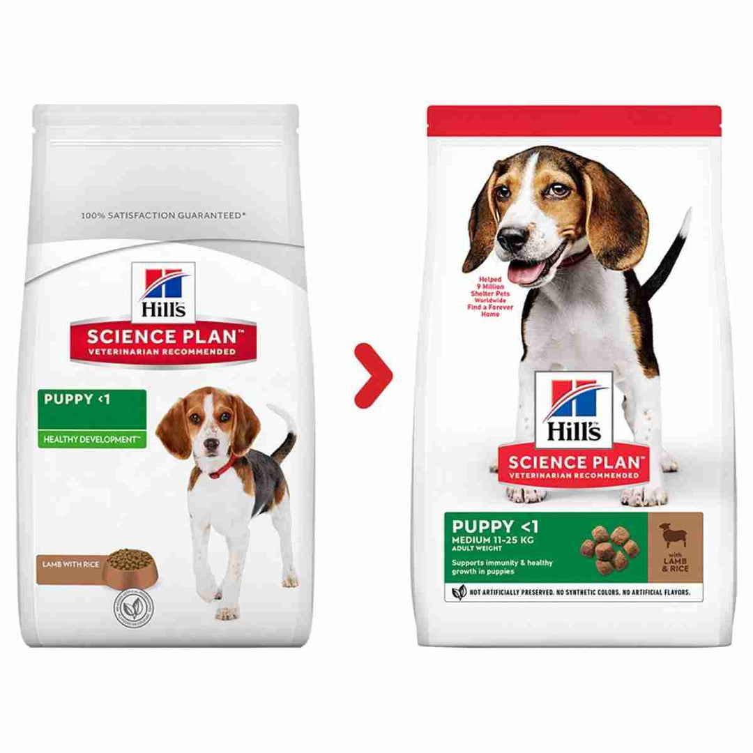 Puppy kibble medium breed