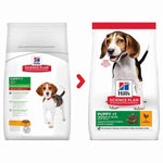Load image into Gallery viewer, Chicken dry food for puppies

