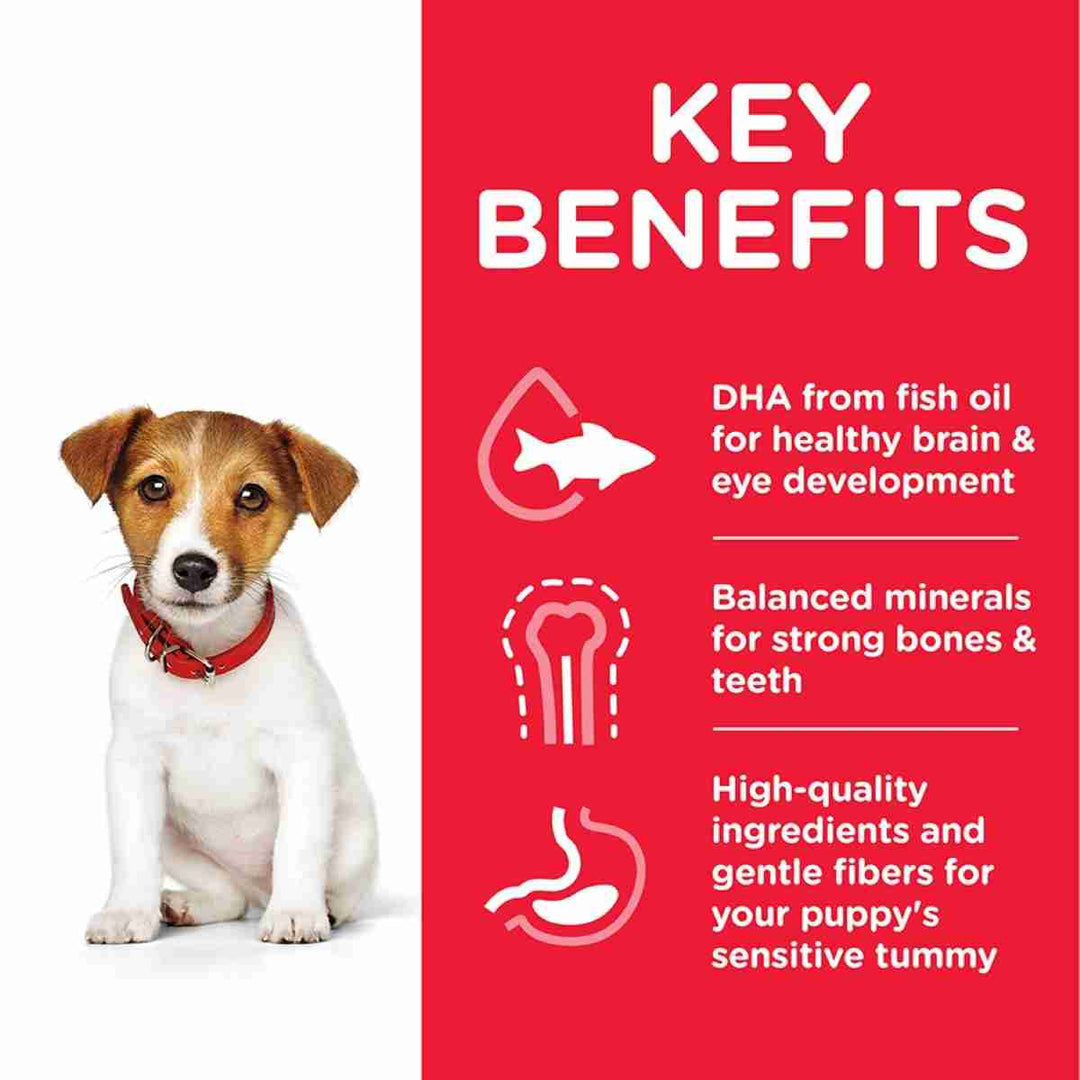 Science Plan mini puppy food