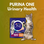 Load image into Gallery viewer, PURINA ONE Urinary Health cat food package with a cat on an orange and green gradient background
