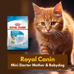 Load image into Gallery viewer, Royal Canin Mini Starter Mother 
