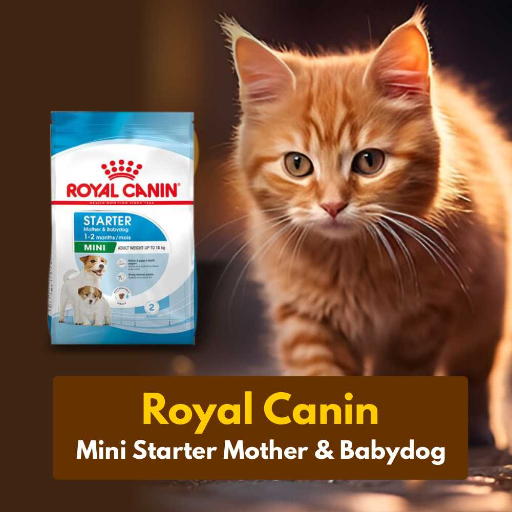 Royal Canin Mini Starter Mother 