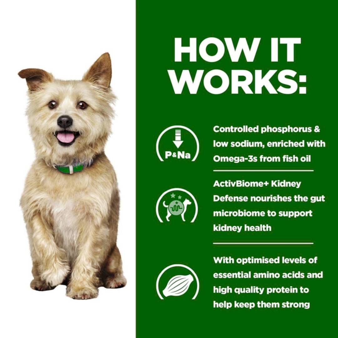 Dog with a green background and text about a pet product's benefits