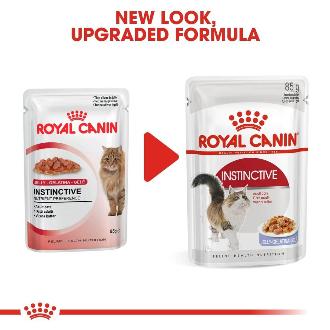 Two packages of Royal Canin Instinctive cat food with a red arrow and text indicating a new look and upgraded formula.