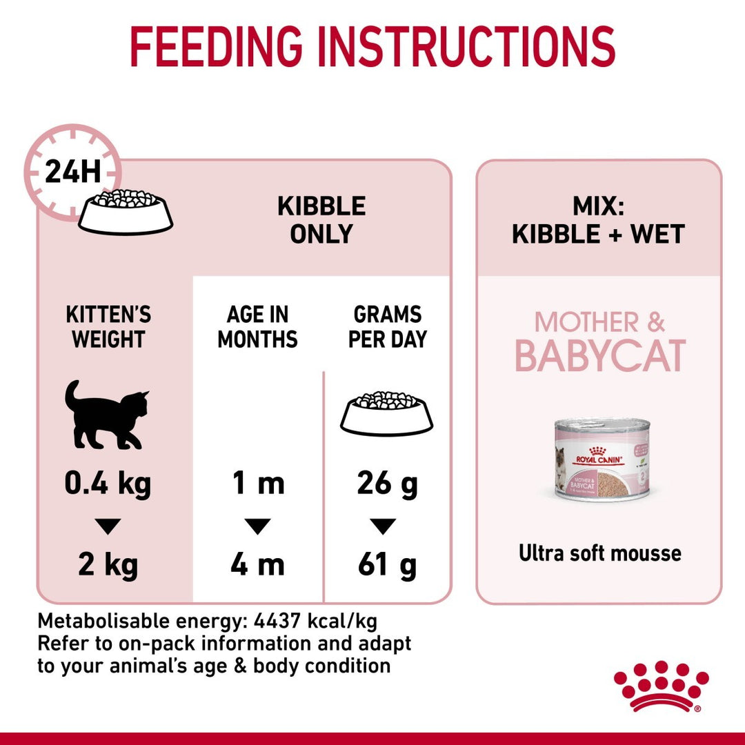 Feeding instructions for kittens with a diagram and text on a white background