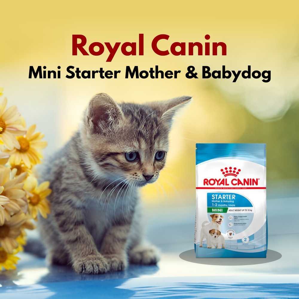 Royal Canin Mini Starter Mother 
