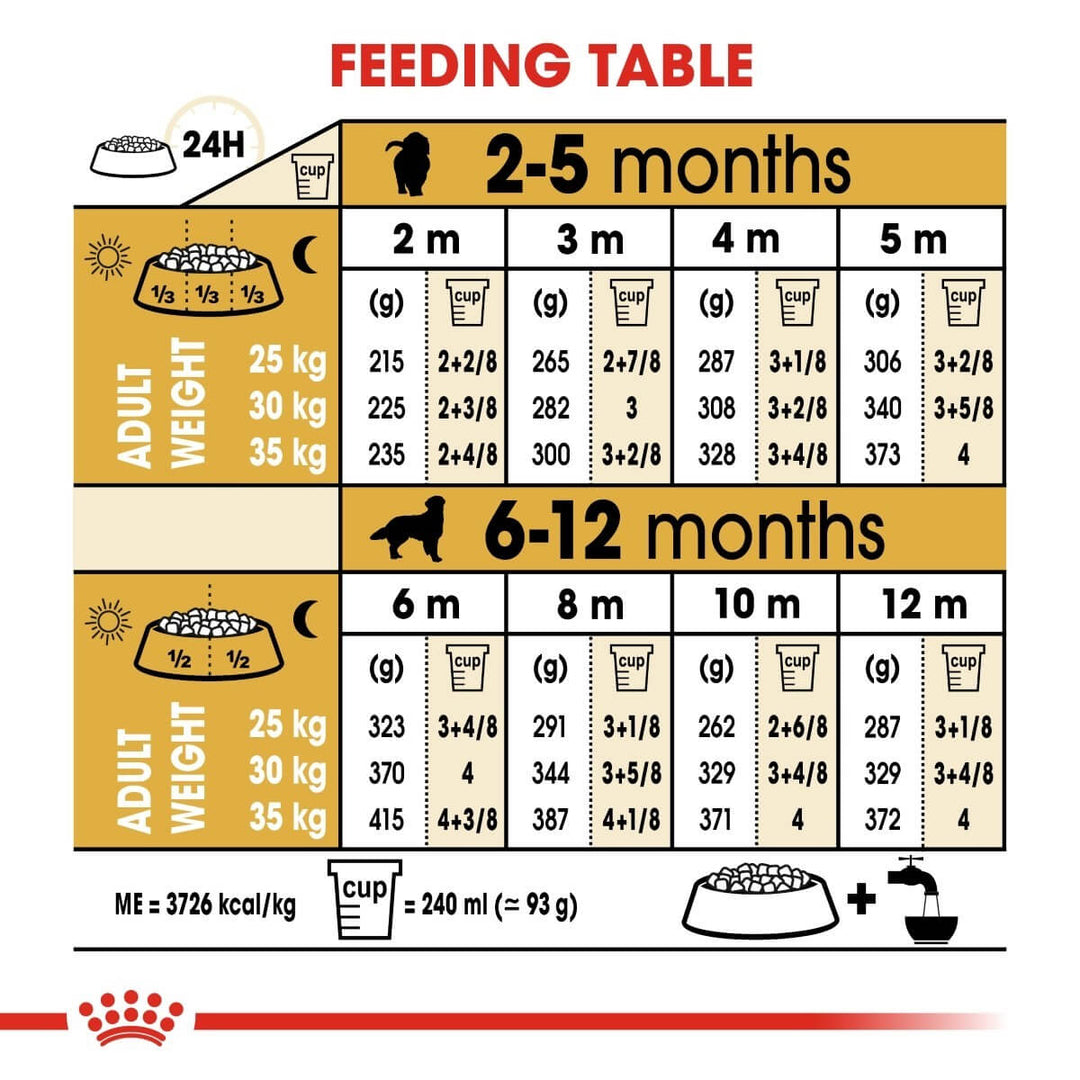 Feeding table chart for puppies with measurements and weights