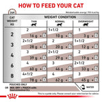 Load image into Gallery viewer, Feeding chart for cats with weight guidelines and recommended food amounts.
