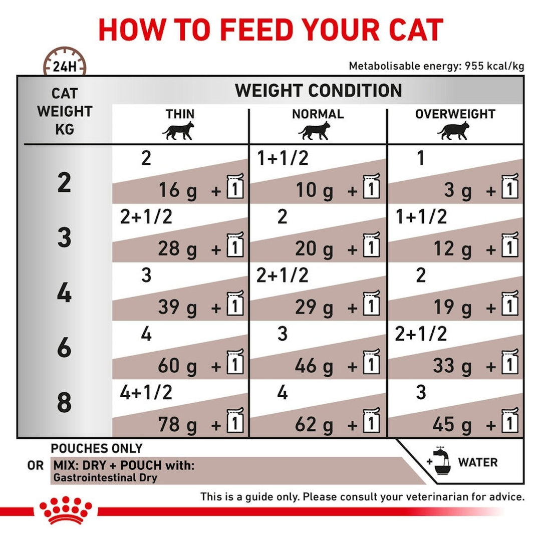 Feeding chart for cats with weight guidelines and recommended food amounts.