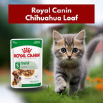 Load image into Gallery viewer, Royal Canin Chihuahua Loaf

