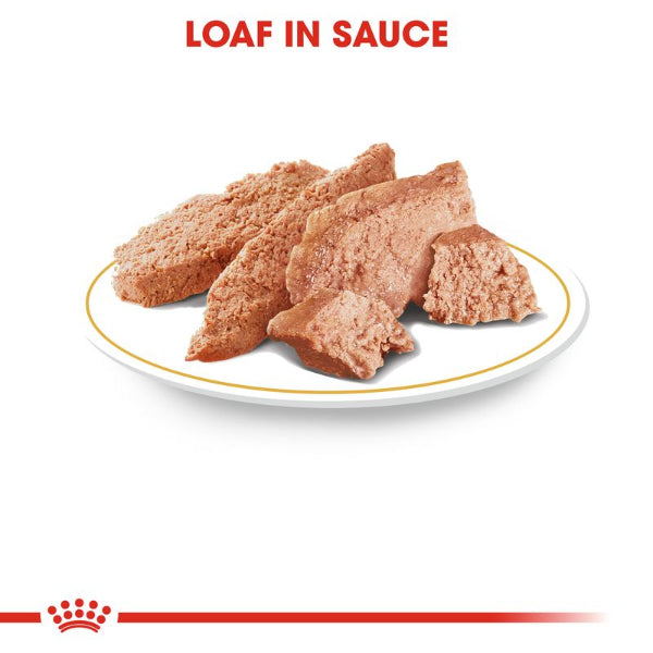 Breed-specific wet dog food