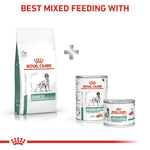 Load image into Gallery viewer, Royal Canin Veterinary Diet Diabetic products on a white background
