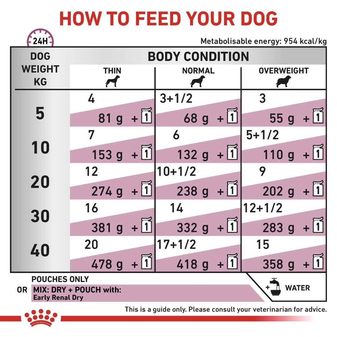 Feeding chart for dogs showing recommended daily feed amounts based on weight and body condition.