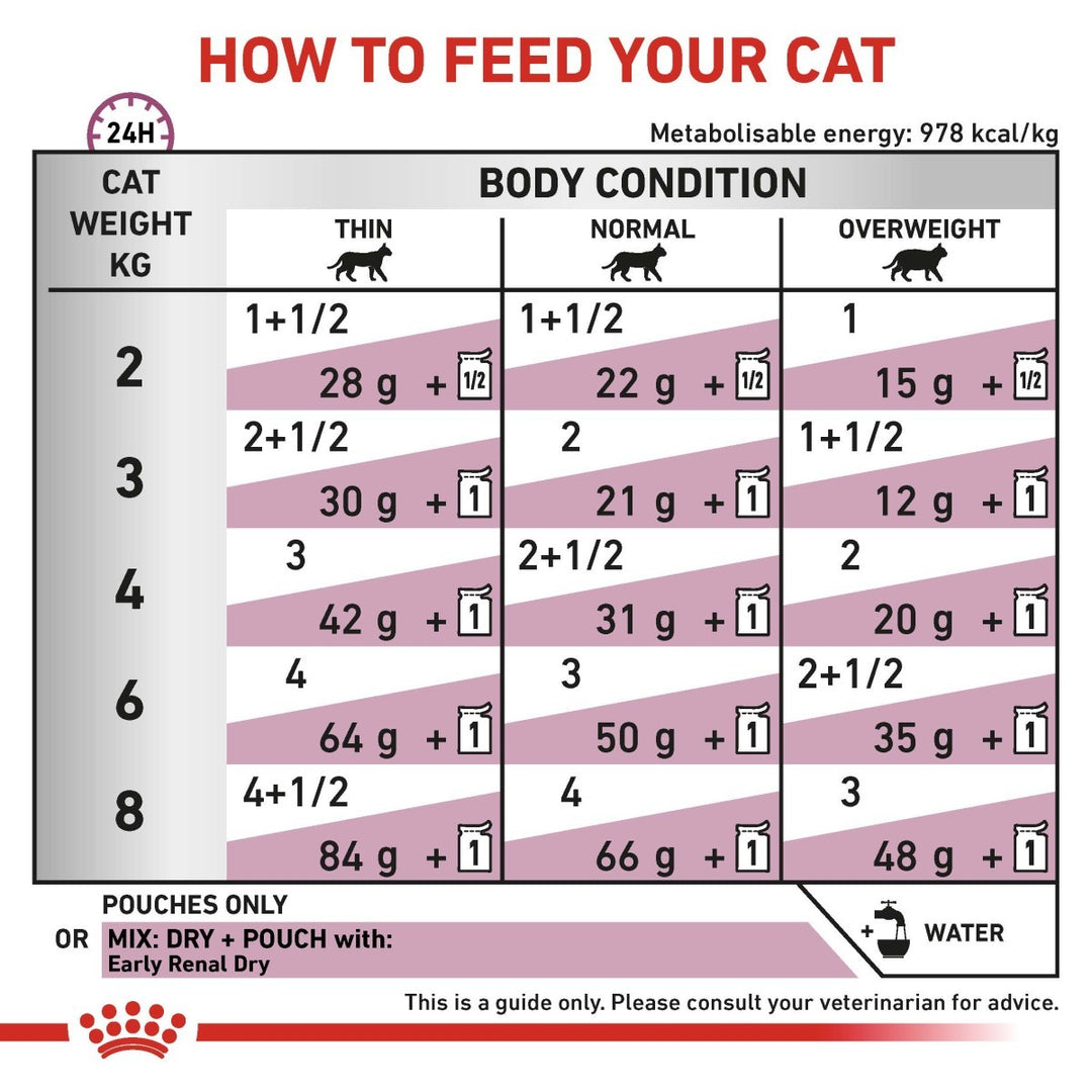 Feeding chart for cats with weight and body condition guidelines.