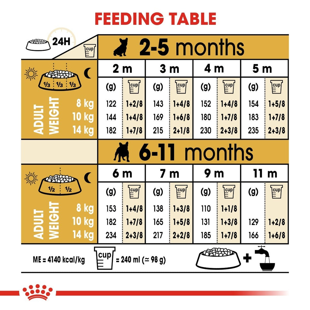 Feeding chart for puppies from 2 to 11 months with measurements and adult weight guidelines.