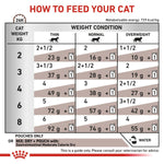 Load image into Gallery viewer, Chart for feeding a cat based on weight and condition

