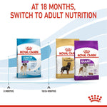 Load image into Gallery viewer, Royal Canin dog food packages for different life stages with text indicating switching to adult nutrition at 18 months.
