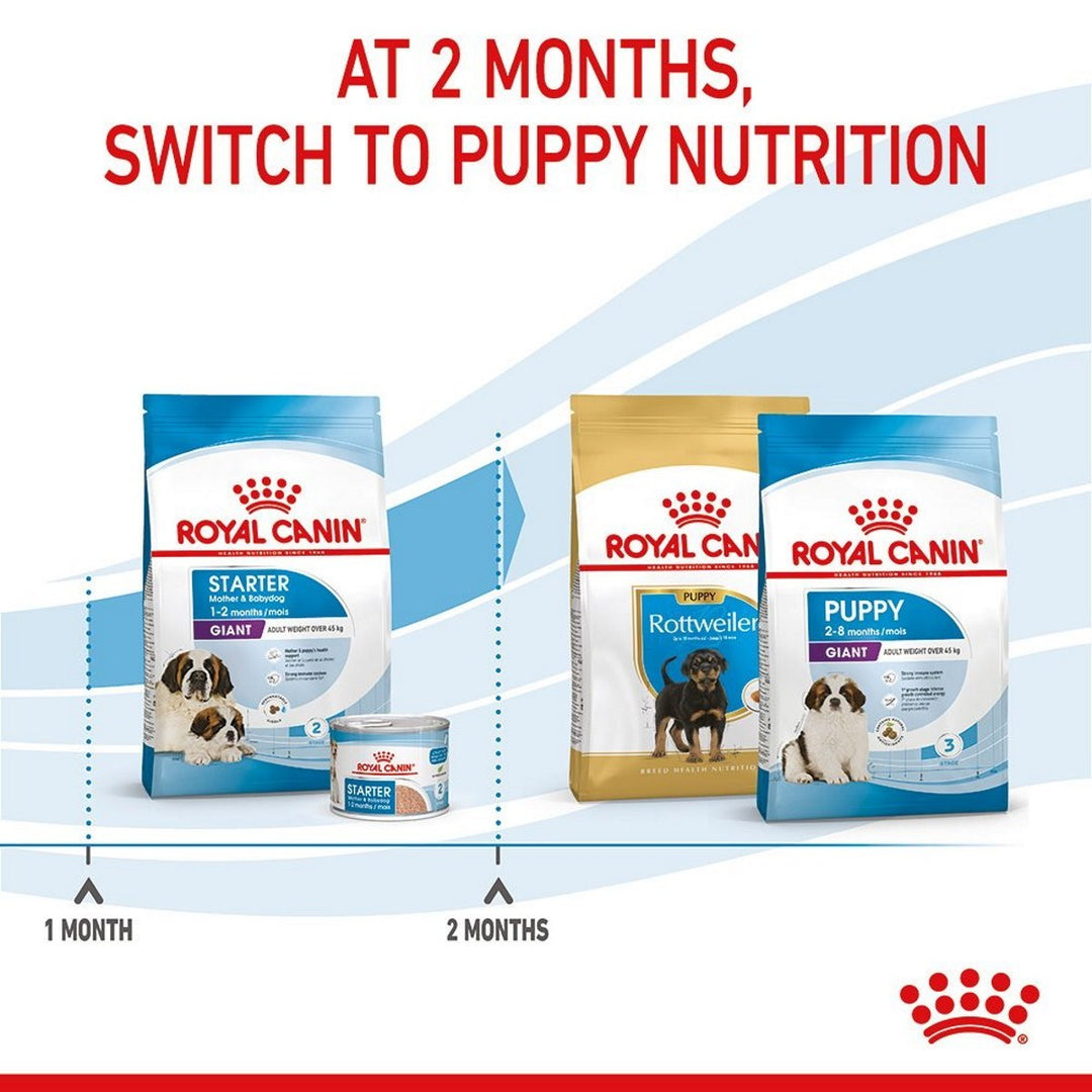 Royal Canin dog food products with text indicating switching to puppy nutrition at 2 months.