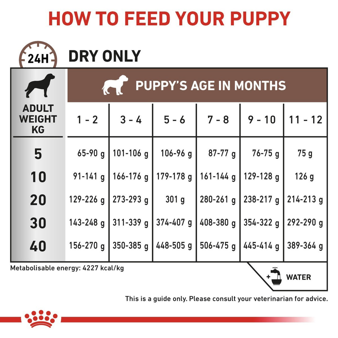 Feeding guide for puppies with weight and age information