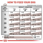 Load image into Gallery viewer, Dog feeding chart
