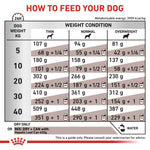 Load image into Gallery viewer, Dog feeding guide chart for different weight conditions and dog weights.
