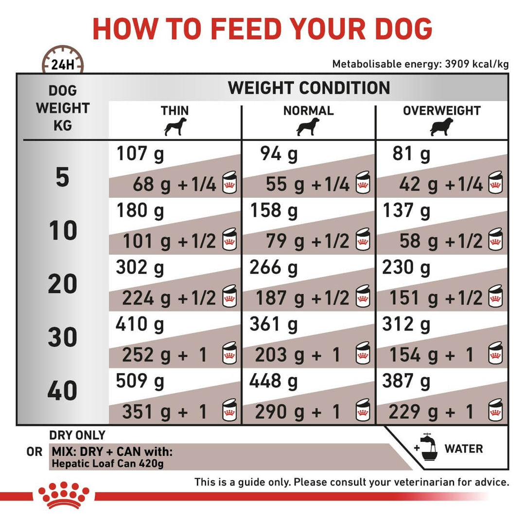 Dog feeding guide chart for different weight conditions and dog weights.