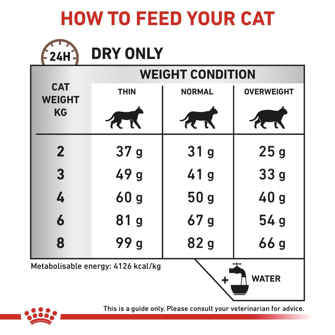 Feeding guide for cats with weight and size chart on a white background
