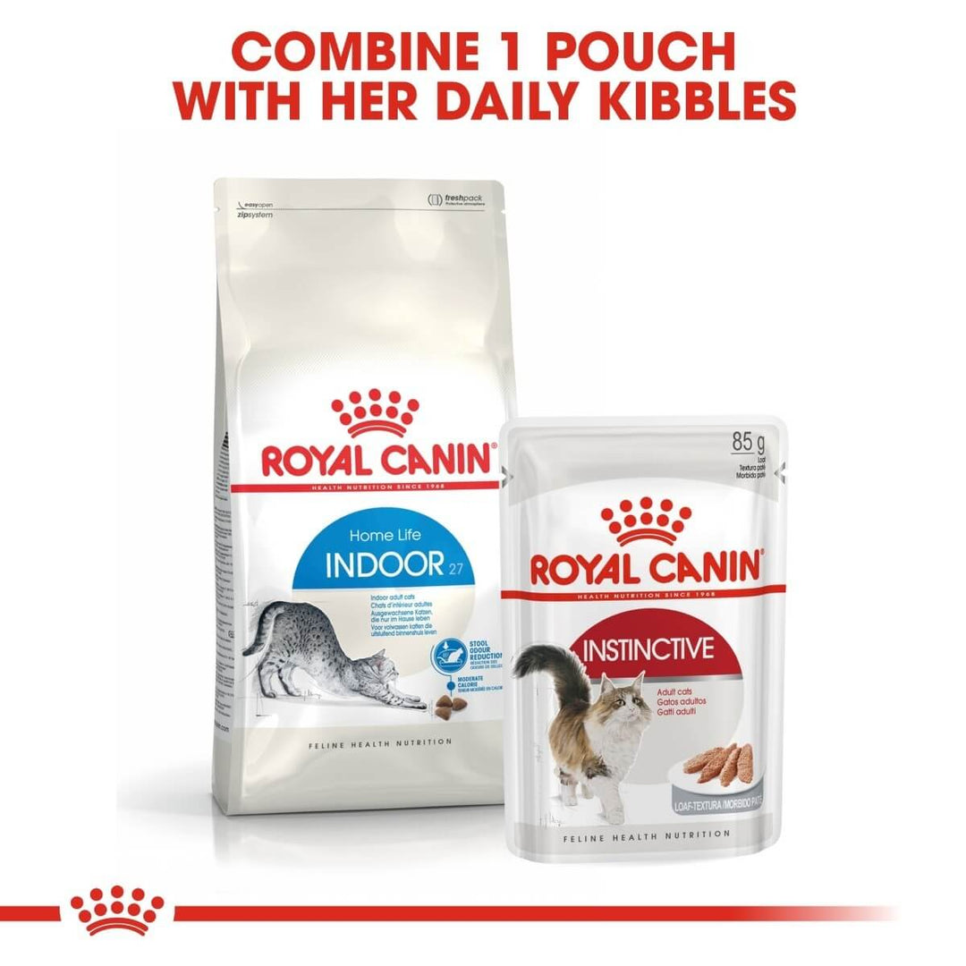 Two Royal Canin cat food packages on a white background with text.