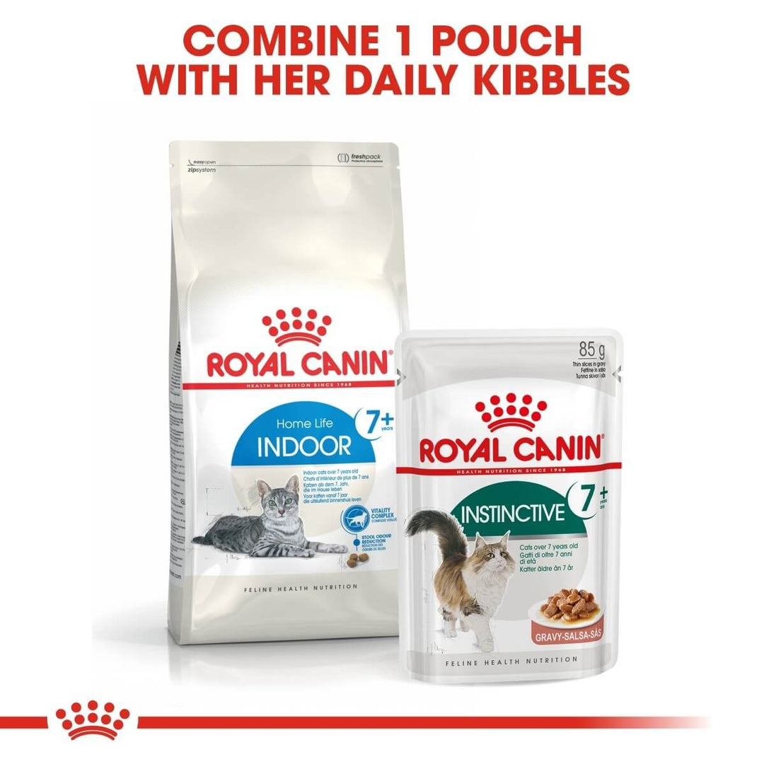 Royal Canin cat food packages on a white background with text.