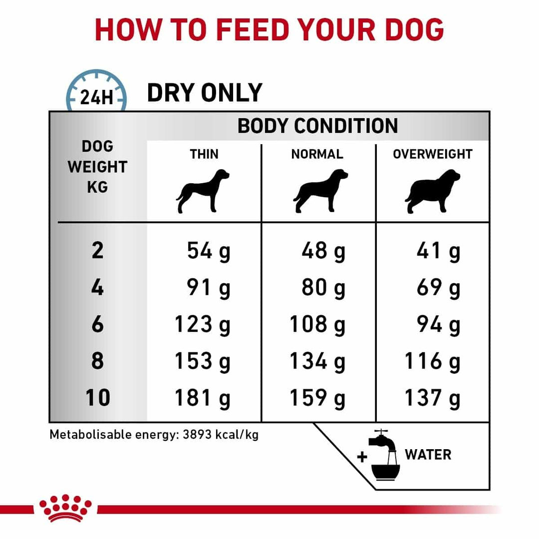 Dog food feeding chart for different body conditions and weights