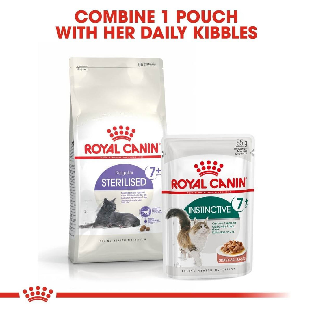 Royal Canin cat food packages on a white background with text.