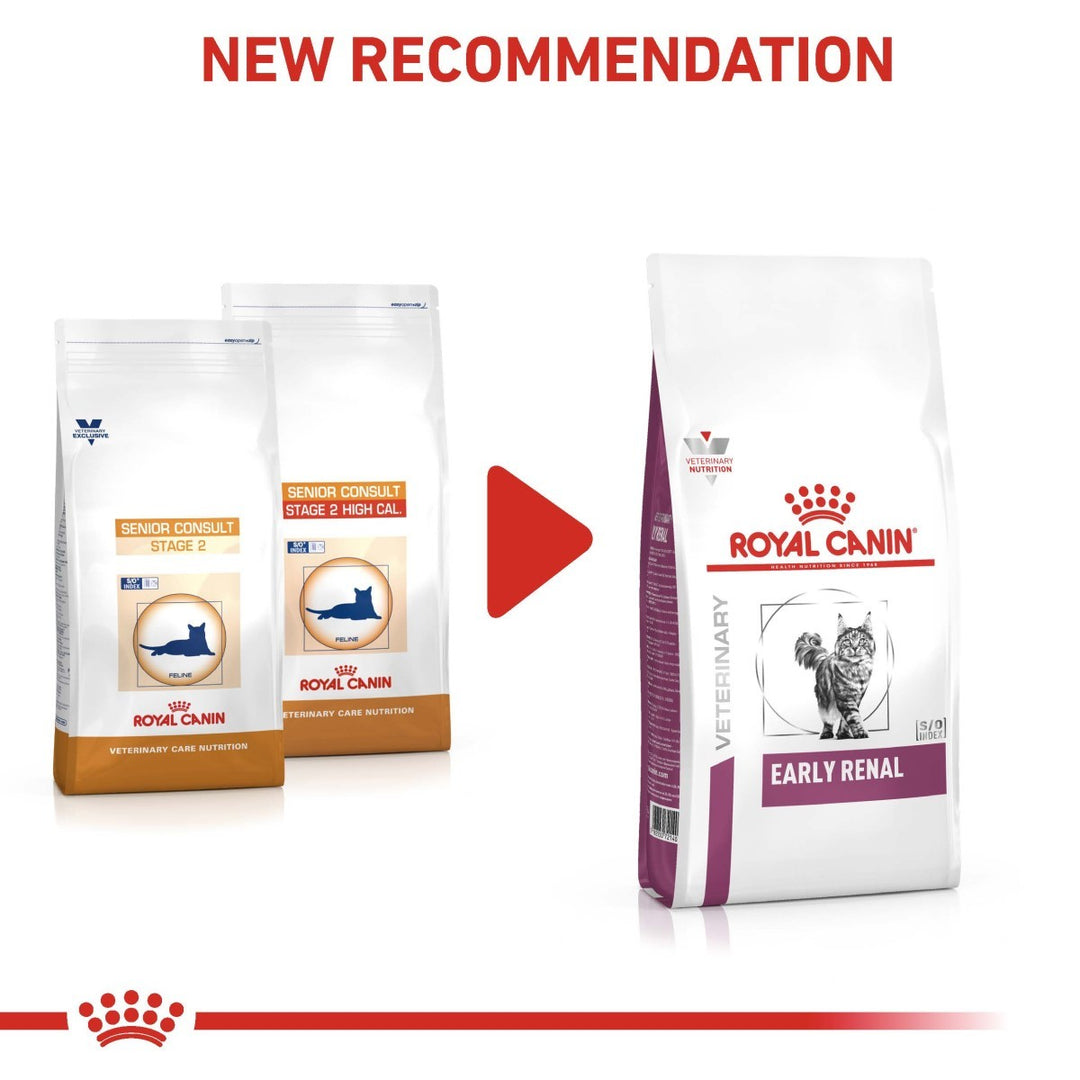 Royal Canin cat food packages on a white background with 'New Recommendation' text.