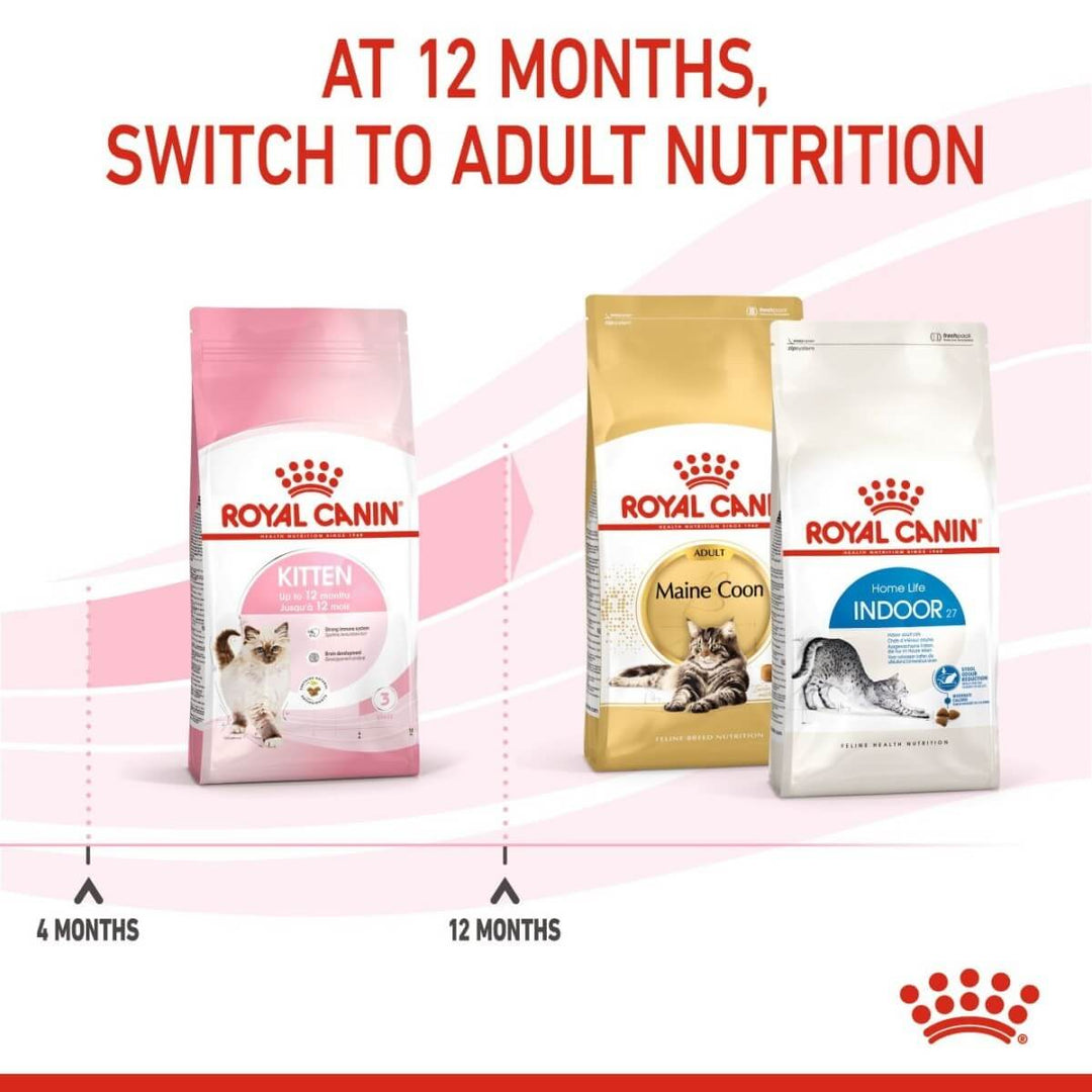 royal canin kitten at 12 months switch to adult nutrition
