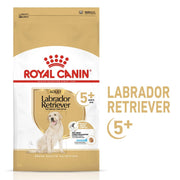 Royal Canin Labrador Retriever dog food package on a white background
