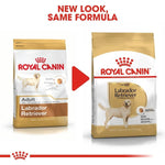 Load image into Gallery viewer, Two packages of Royal Canin Labrador Retriever dog food with a red arrow and text indicating &#39;New Look, Same Formula&#39;.
