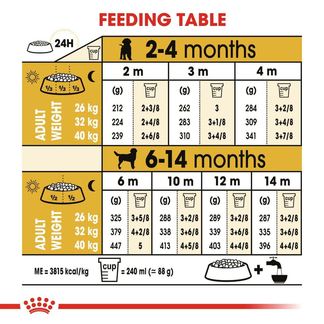 Feeding table chart for puppies with weight and measurement guide