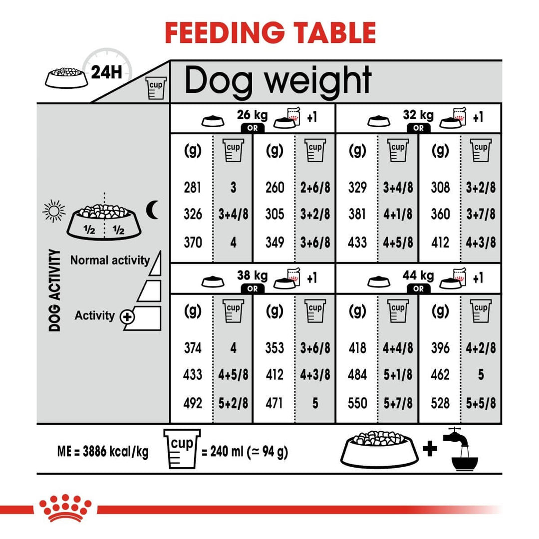 Feeding chart for dogs with weight and activity levels