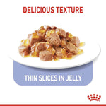 Load image into Gallery viewer, Dog food with thin slices in jelly on a white plate, labeled &#39;Delicious Texture&#39; and &#39;Thin Slices in Jelly&#39;.
