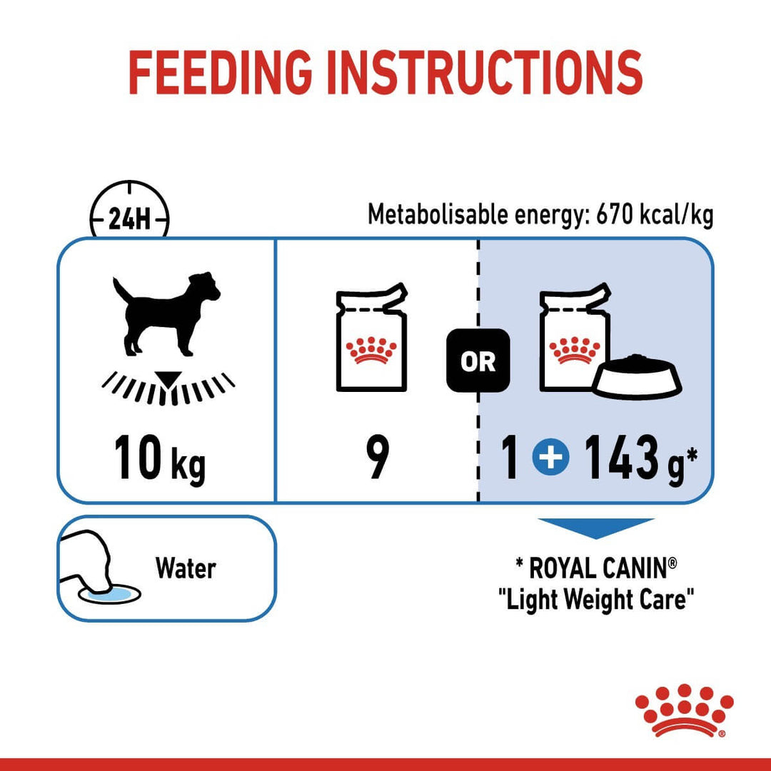 Royal Canin feeding instructions for a 10 kg dog on a white background