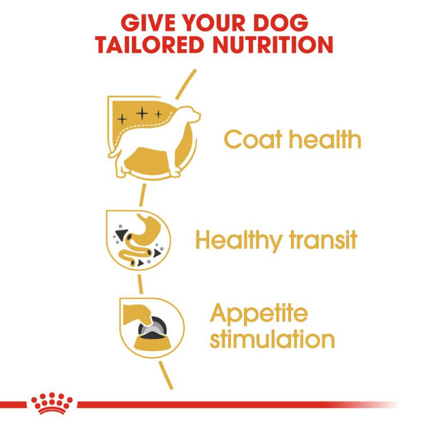 Royal Canin loaf for small dogs