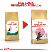 Two packages of Royal Canin Maine Coon kitten food with a red play button graphic.