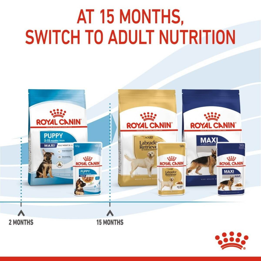 Buy Royal Canin Maxi Puppy wet food chunks in gravy from Alifant.
