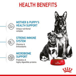 Load image into Gallery viewer, Health benefits of a dog food product with two dogs and a bowl on a white background.
