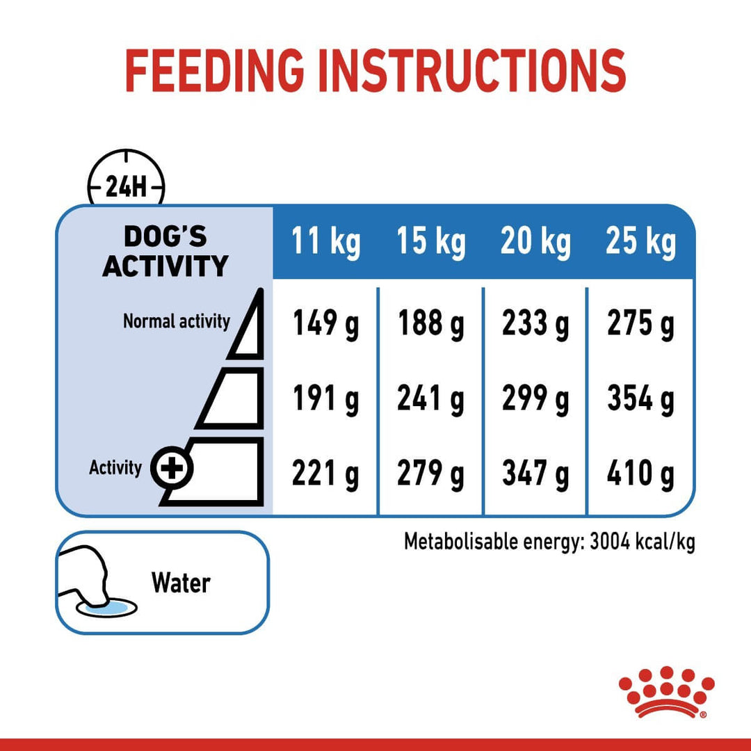 Feeding instructions for a dog with weight and activity levels on a label.