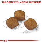 Load image into Gallery viewer, Three brown dog food blocks on a white background with text &#39;Tailored with Active Nutrients&#39; and a brand logo.
